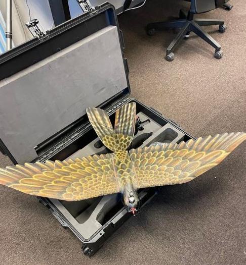 3D打印生产超逼真的猎鹰形无人机
